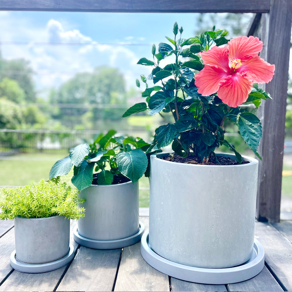 Round Planter White